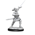 Critical Role: Half-Elf Paladin Xhorhas Female