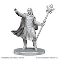 D&D: Nolzur's Marvelous Unpainted Miniatures - Drow Mage & Yochlol