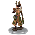 D&D: Icons of the Realms - Female Human Druid Premium Figure