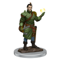 D&D: Icons of the Realms - Male Half-Elf Bard Premium Figure