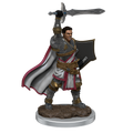 D&D: Icons of the Realms - Male Human Paladin Premium Figure