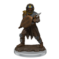 D&D: Icons of the Realms - Male Human Fighter Premium Figure