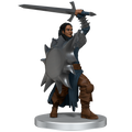 D&D: Icons of the Realms - Dragonlance: Dragon Army Warband