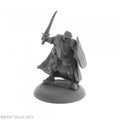 Dark Heaven Legends: Human Fighter Veteran, Baran