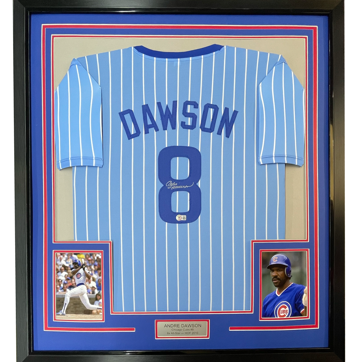 Framed Autographed/Signed Andre Dawson 35x39 Chicago Pinstripe Blue Baseball Jersey JSA COA