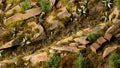 Gamers Grass | Grass Tuft | Dark Moss (2mm)