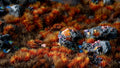 Gamers Grass | Alien Tuft | Fire Tuft