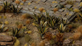 Gamers Grass | Laser Plants | Agave
