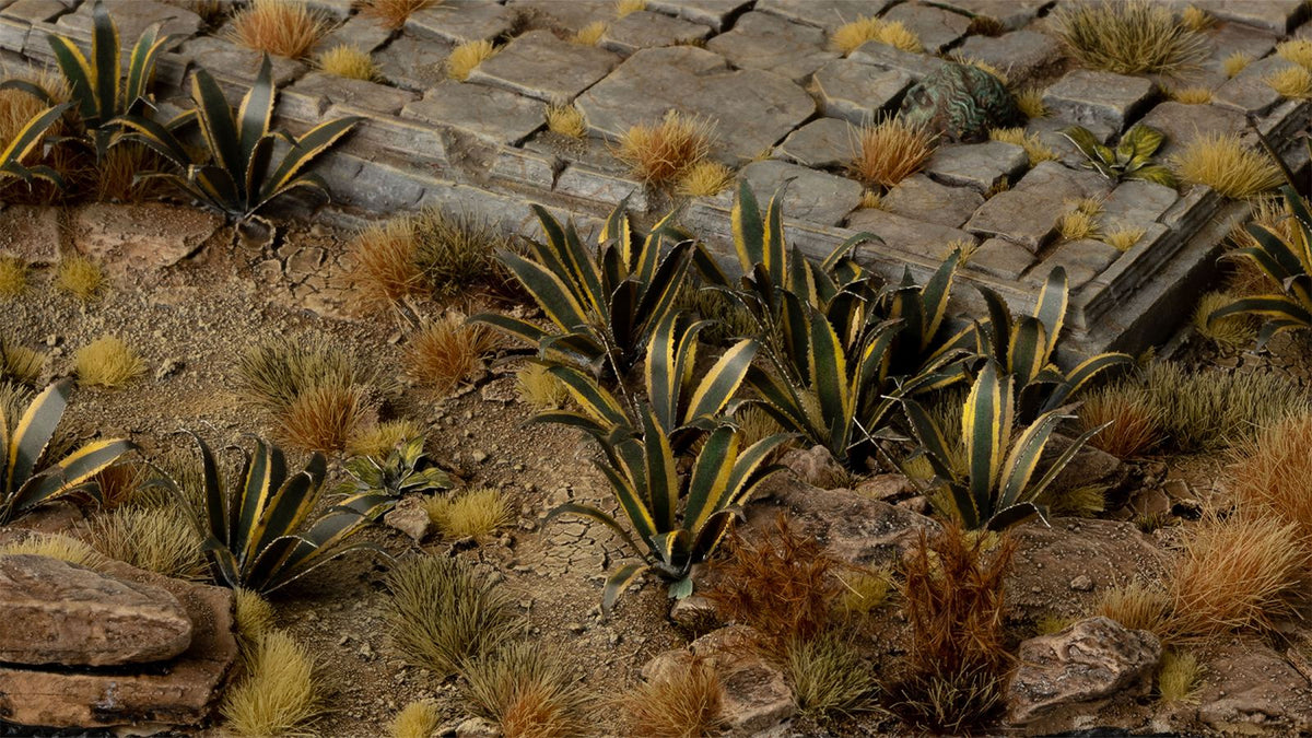 Gamers Grass | Laser Plants | Agave