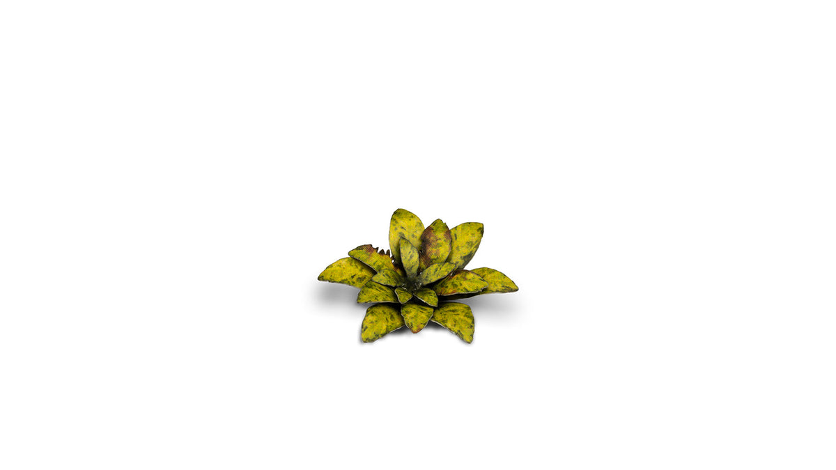 Gamers Grass | Laser Plants | Dumb Cane