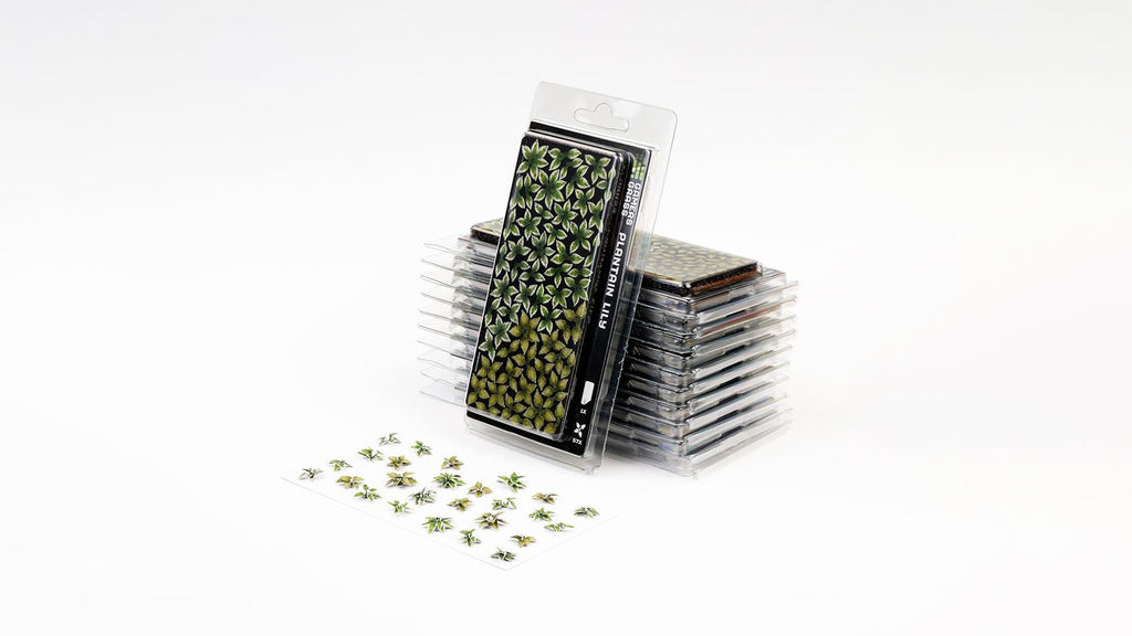 Gamers Grass | Laser Plants | Plantain Lily