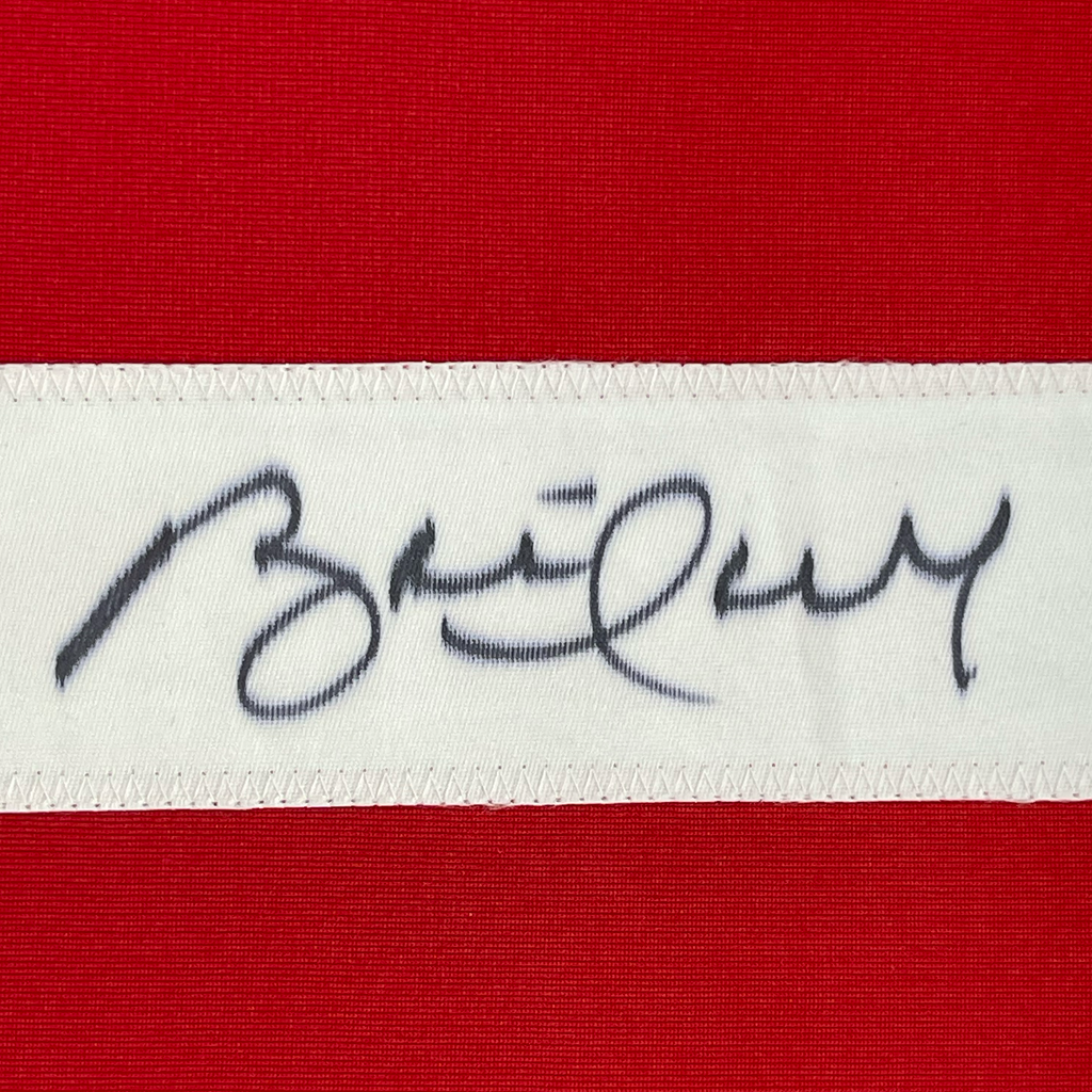 Framed Autographed/Signed Brett Hull 35x39 Detroit Red Hockey Jersey JSA COA