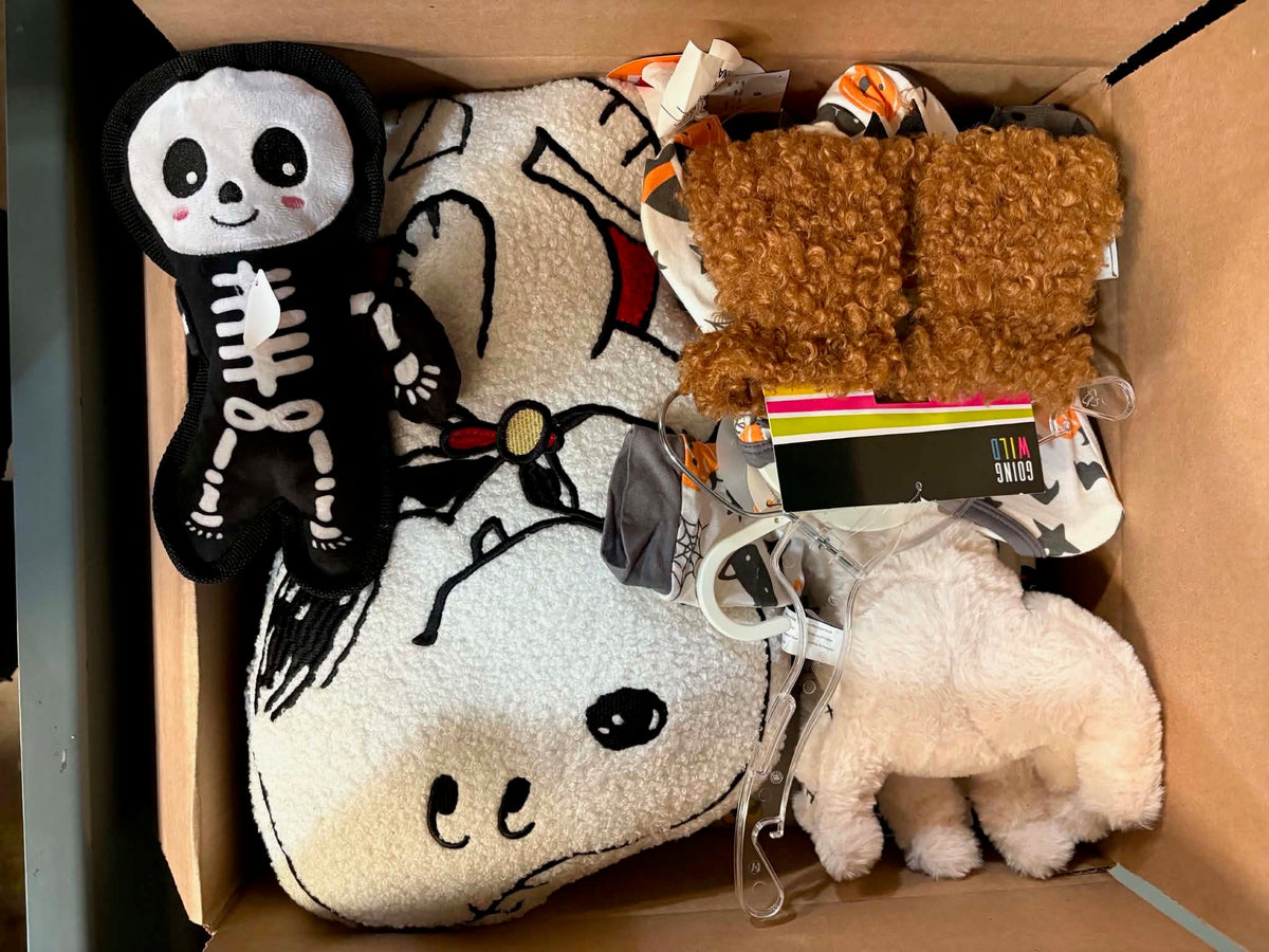 Halloween Mystery Box