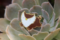 Baby Bestiary: Owlbear Enamel Pin - Bounding