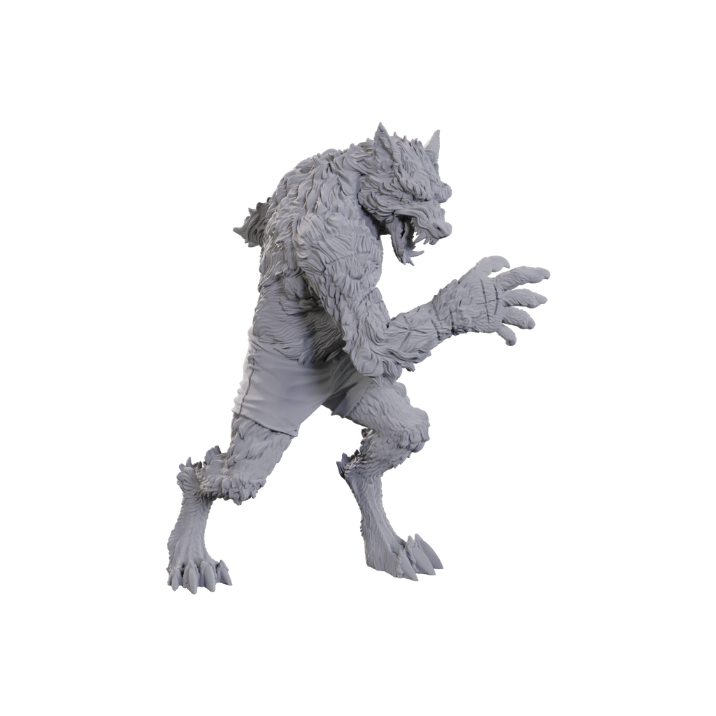 D&D: Critical Role Miniatures - Chetney Pock O'Pea & Werewolf