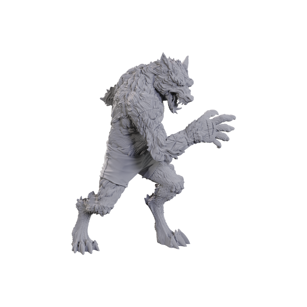 D&D: Critical Role Miniatures - Chetney Pock O'Pea & Werewolf