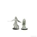 D&D: Nolzur's Marvelous Miniatures - Night Hag & Dusk Hag