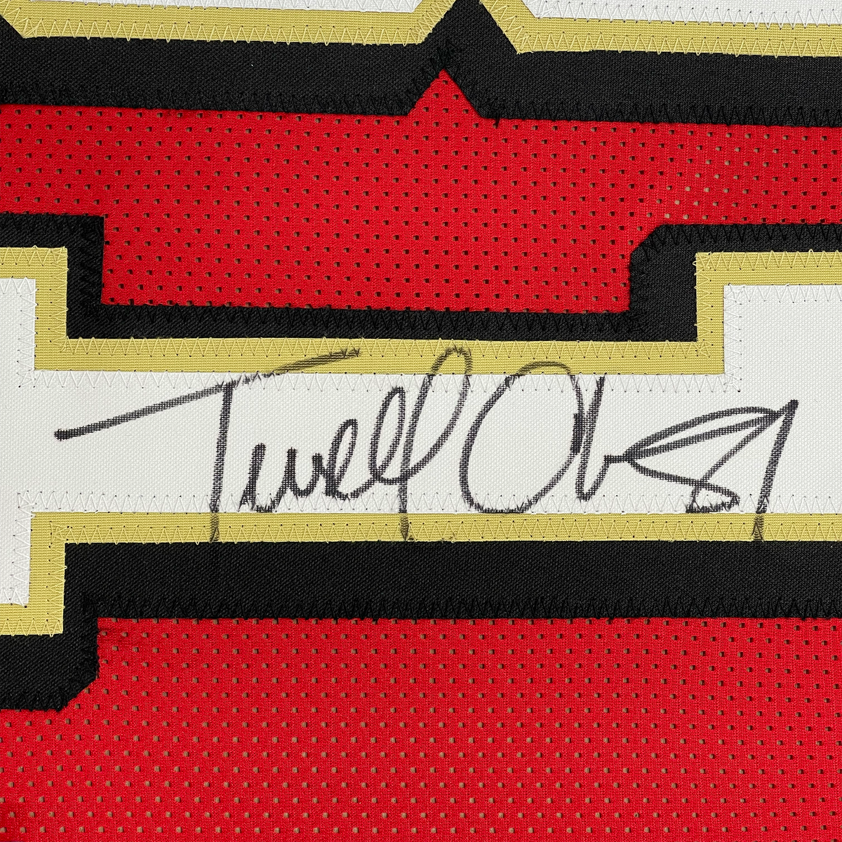 Framed Autographed/Signed Terrell Owens 35x39 San Francisco Red Football Jersey JSA COA
