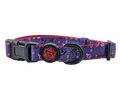 Paw-lymorph Dog Collar: Wizard