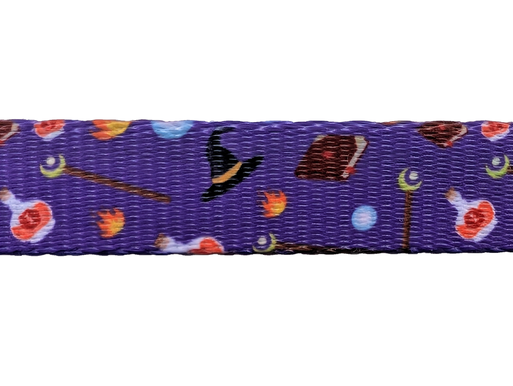 Paw-lymorph Dog Collar: Wizard