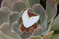 Baby Bestiary: Owlbear Enamel Pin - Sitting