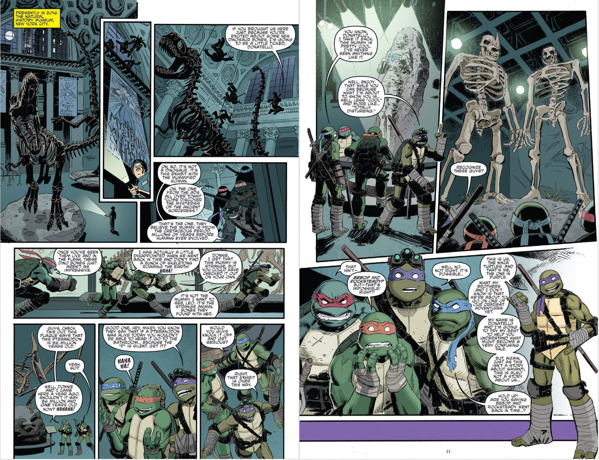 Teenage Mutant Ninja Turtles: The IDW Collection Volume 8