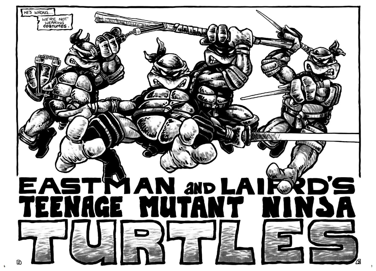 Teenage Mutant Ninja Turtles: The Mirage Years 1984-1987--IDW Classic Collections