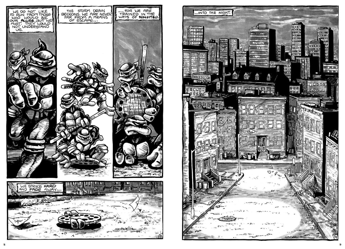 Teenage Mutant Ninja Turtles: The Mirage Years 1984-1987--IDW Classic Collections