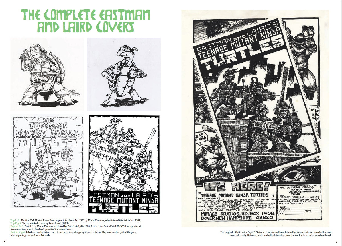 Teenage Mutant Ninja Turtles: The Ultimate Collection, Vol. 7