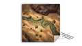 Desert Stream TTRPG Battle Map | Double-Sided | 2ft x 2ft