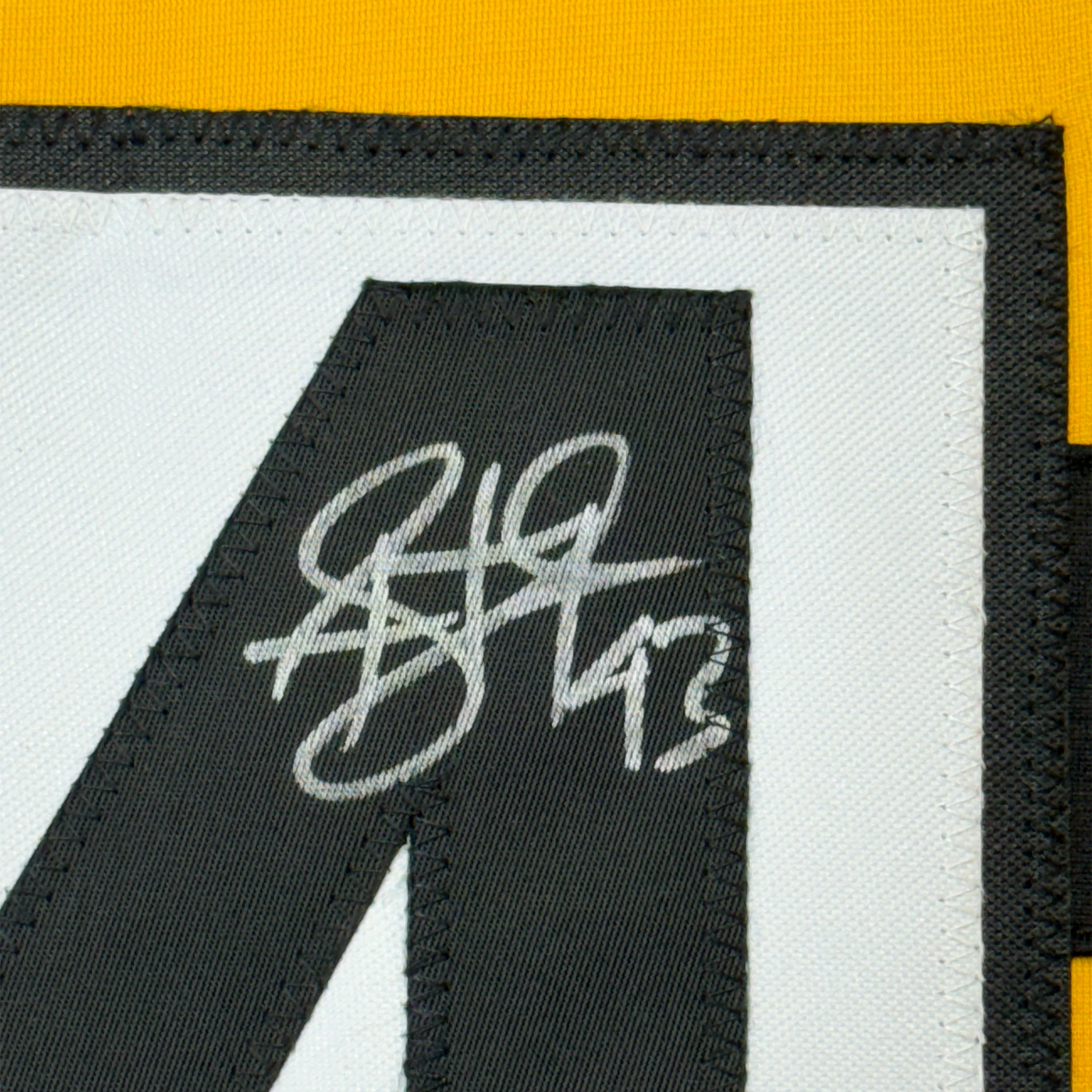 Framed Autographed/Signed Troy Polamalu 35x39 Pittsburgh Bumble Bee Football Jersey Beckett BAS COA