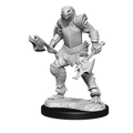 D&D: Nolzur's Marvelous Miniatures - Dragonborn Fighter Female