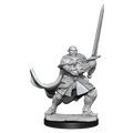 D&D: Nolzur's Marvelous Miniatures - Half-Orc Paladin Male