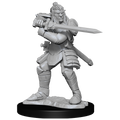 D&D: Nolzur's Marvelous Miniatures - Hobgoblin Fighter Male & Hobgoblin Wizard Female