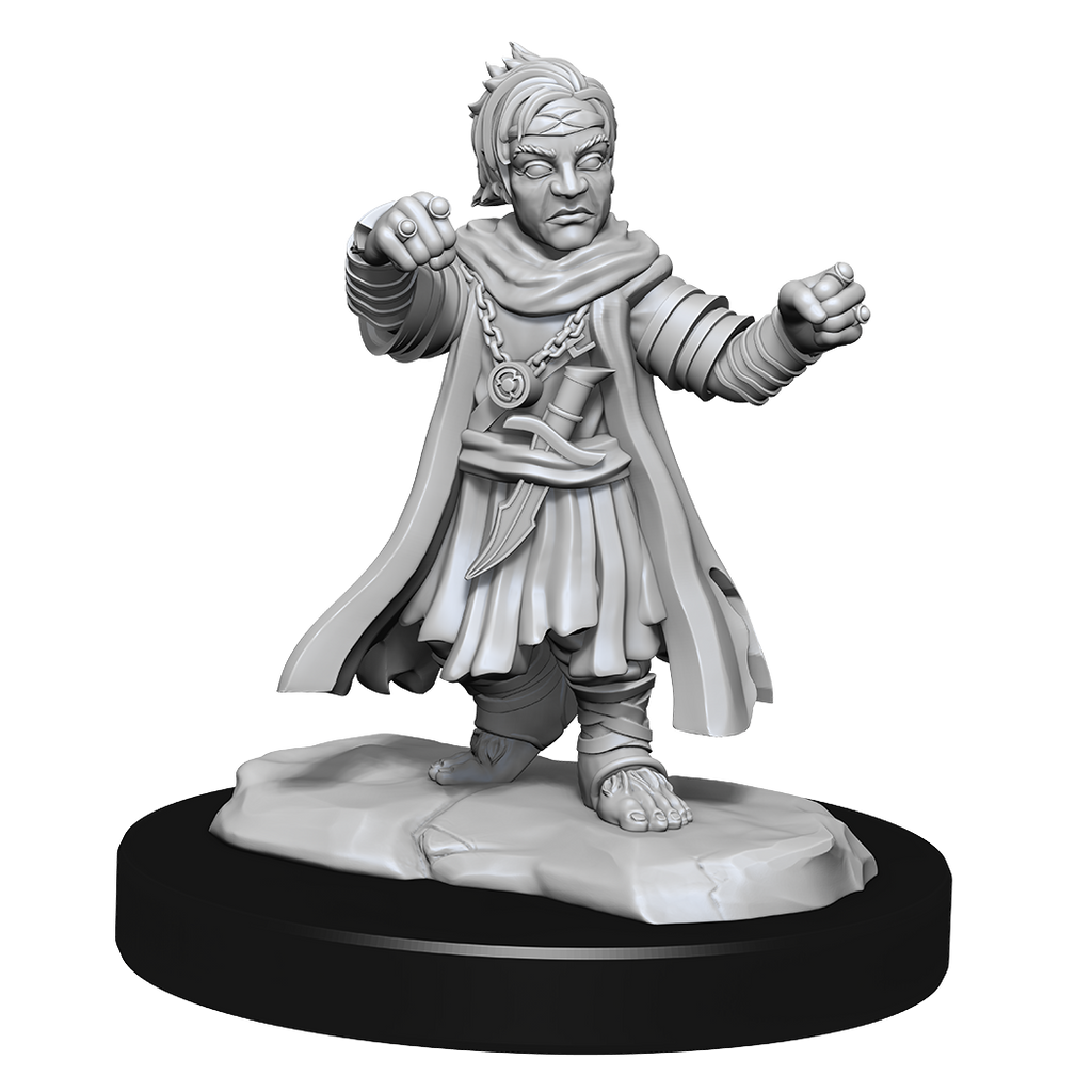 Pathfinder: Deep Cuts - Halfing Monk Male