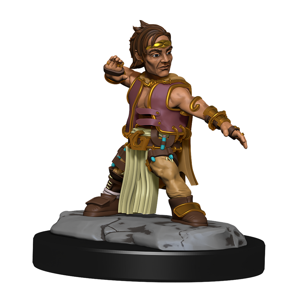 Pathfinder: Deep Cuts - Halfing Monk Male
