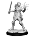 Magic: the Gathering - Unpainted Miniatures - Rowan Kenrith & Will Kenrith