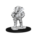 Magic: the Gathering - Unpainted Miniatures - Quintorius, Field Historian