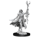 D&D: Frameworks - Human Druid Female