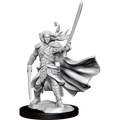 D&D: Frameworks - Elf Ranger Male