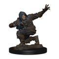 Pathfinder Battles: Human Rogue Male