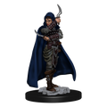 Pathfinder Battles: Human Rogue Female