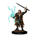 Pathfinder Battles: Human Cleric Male