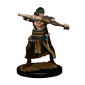 Pathfinder Battles: Half-Elf Ranger Male
