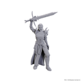 D&D: Nolzur's Marvelous Miniatures - Blackguard