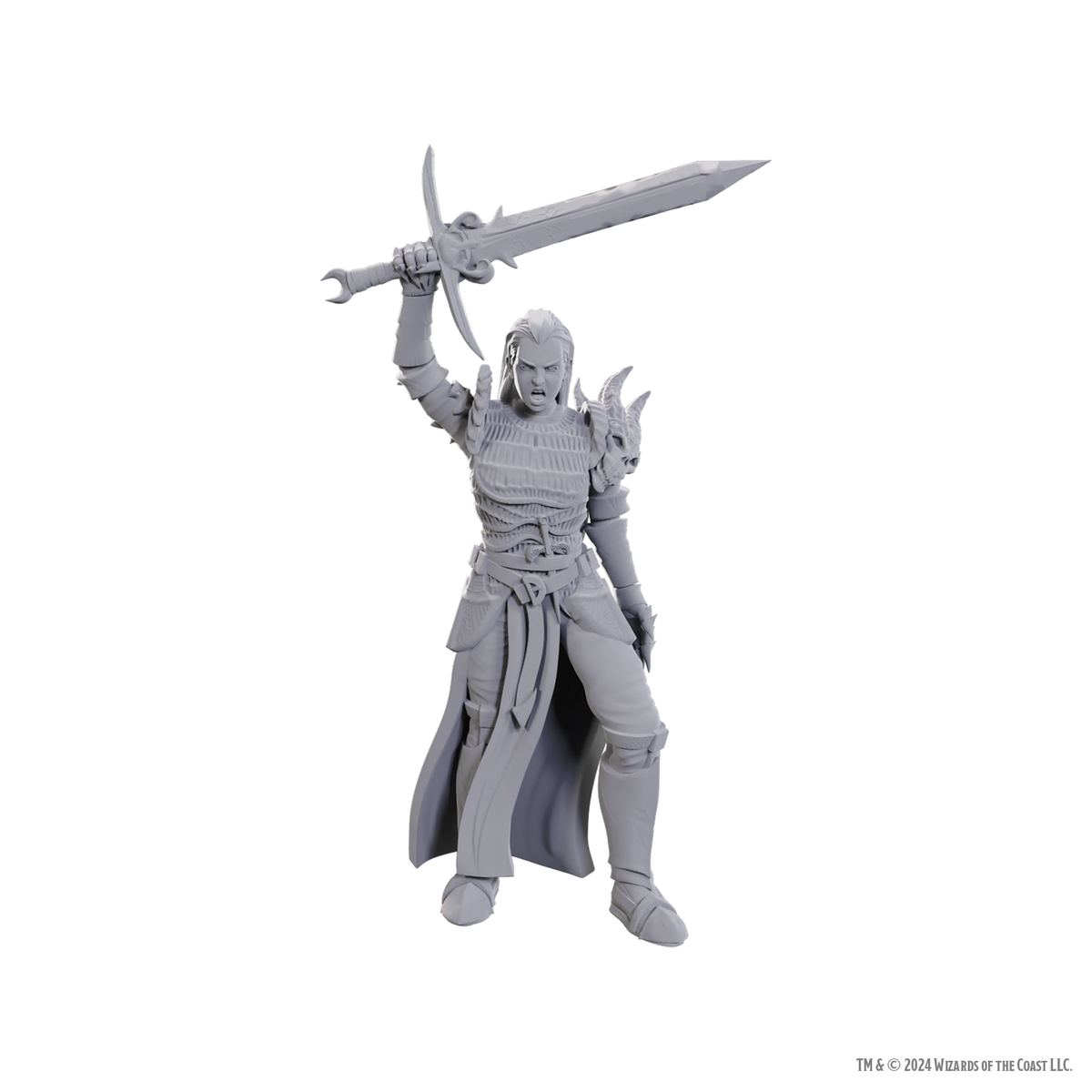 D&D: Nolzur's Marvelous Miniatures - Blackguard
