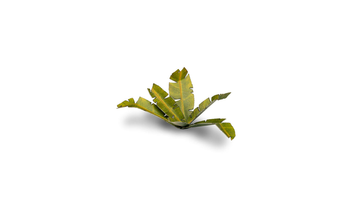 Gamers Grass | Laser Plants | Banana Tree