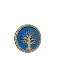 Frosthaven: Challenge Coin
