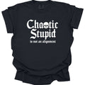 Chaotic Stupid Is Not An Alignment T-Shirt - Comfort Colors