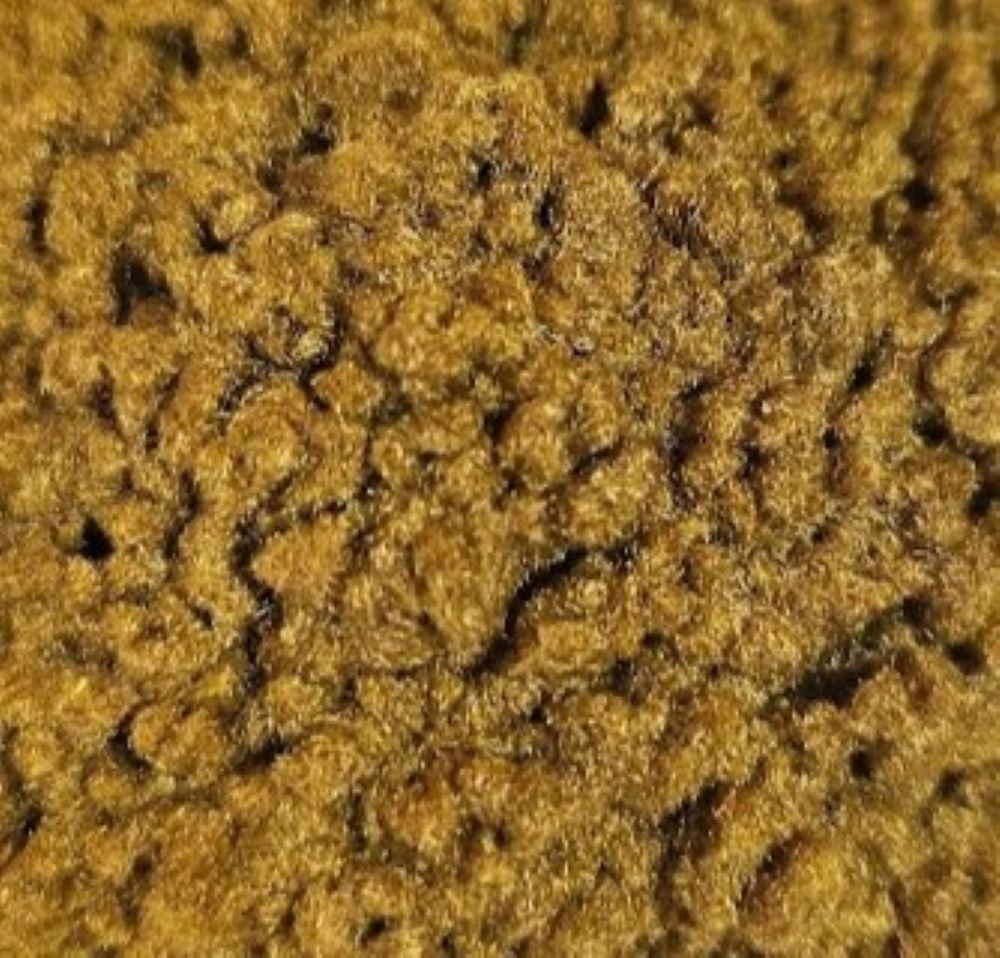 Golden Brown Flocking Kit